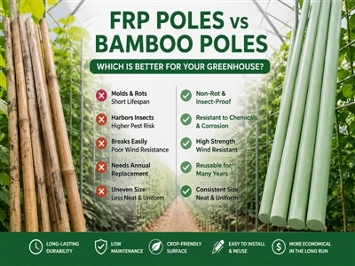 Unverzichtbarer Leitfaden für Landwirte – FRP-Stangen vs. Bambusstangen: Welc...