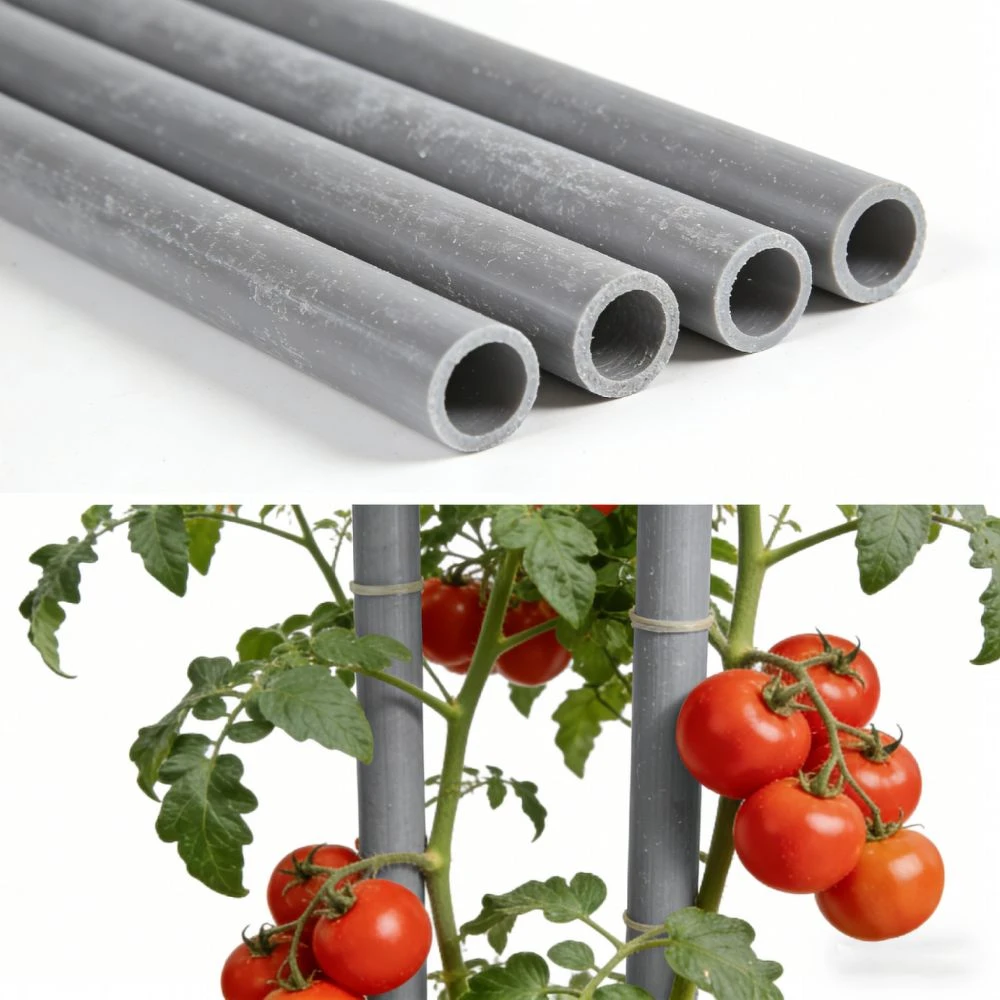 product-1000-1000