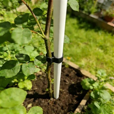 Garten-Trainingspfähle aus Fiberglas